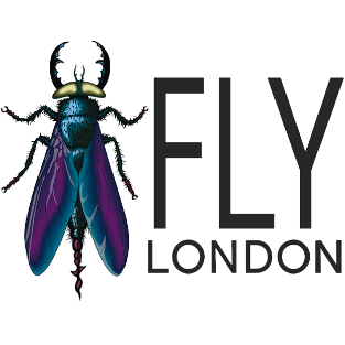 Fly London | Go where the inspiration takes you!