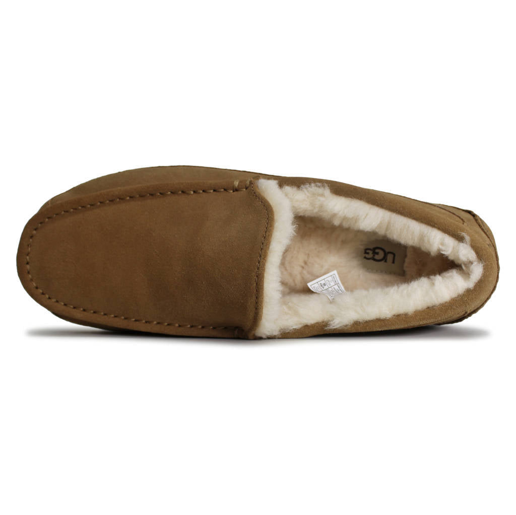 Ugg Ascot Suede Mens Shoes#color_chestnut